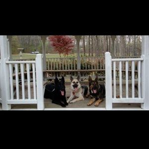 Meet your Posher, Connie